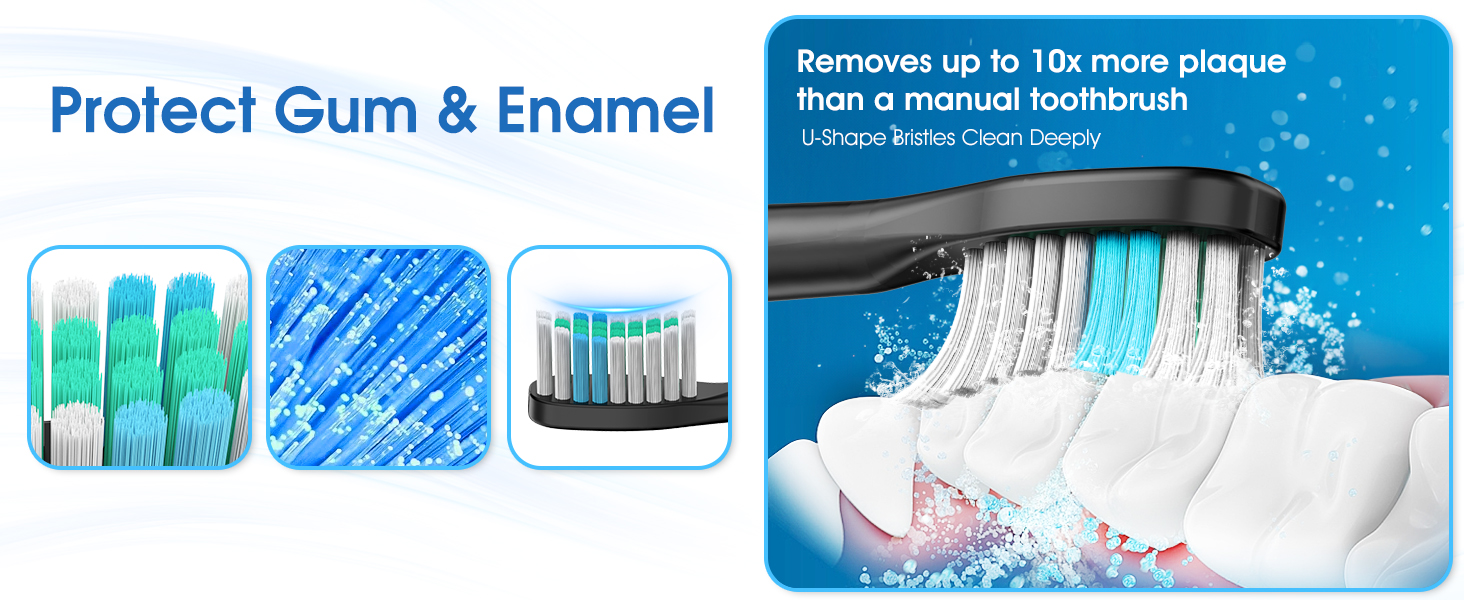 Cemobene Sonic Electric Toothbrush 506C Details 6